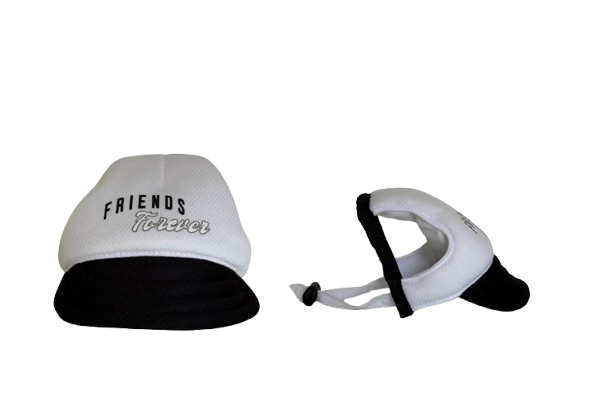 friends-forever-hat-dog