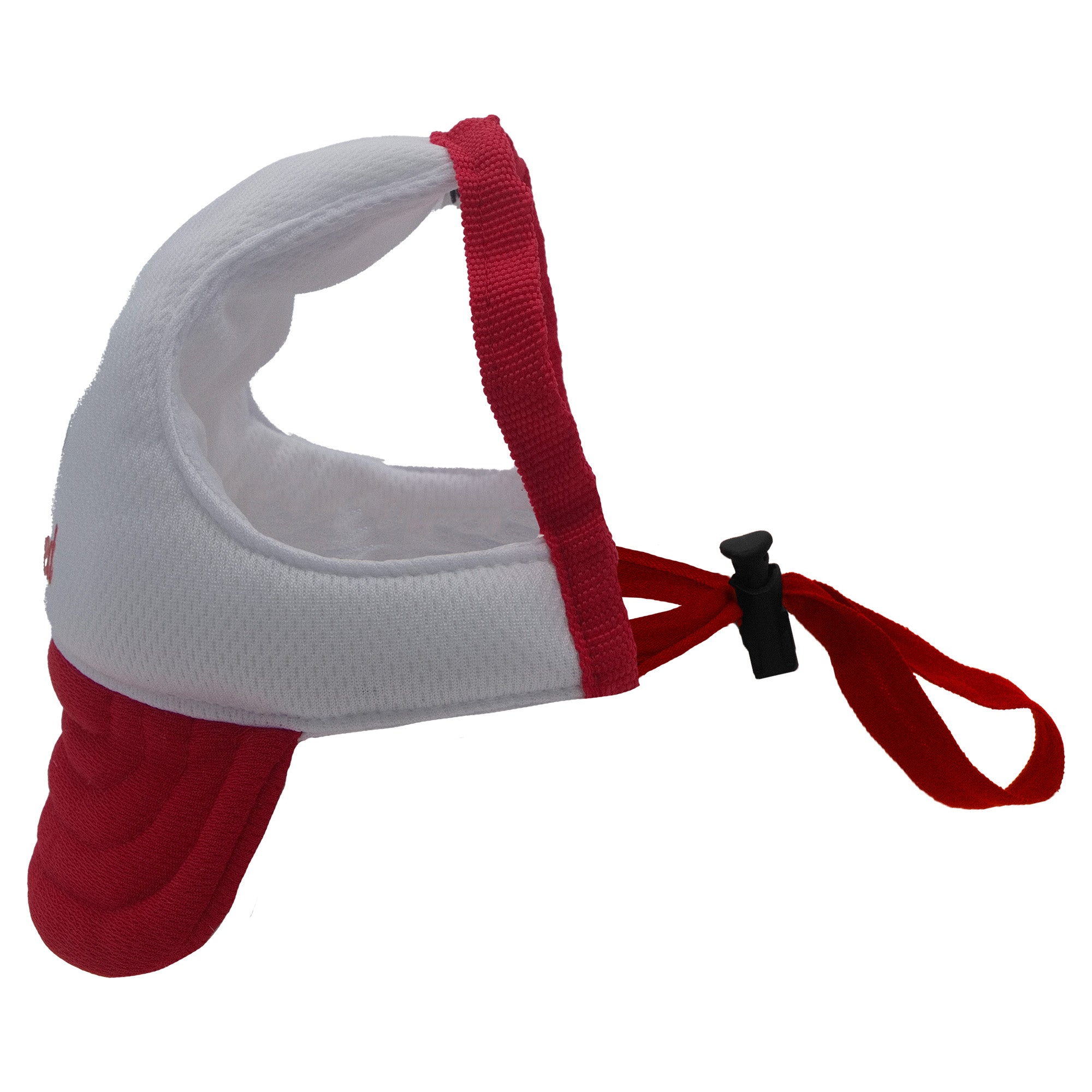 Rescued and Loved Dog Hat