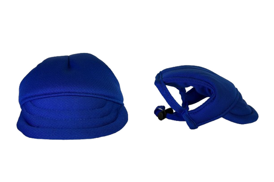blue-dog-hat