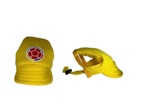 colombian-team-hat-dog