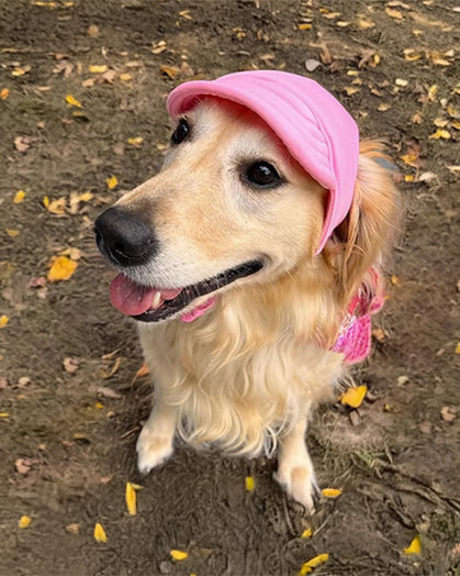Golden retriever wearing pink dog hat outdoors, fashionable dog accessory look
