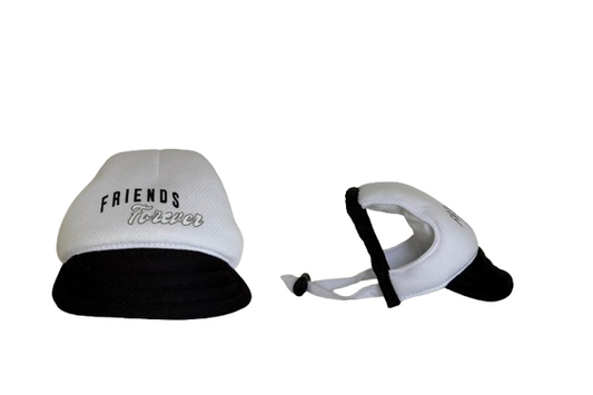 friends-forever-hat-dog