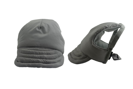 gray-hat-dog