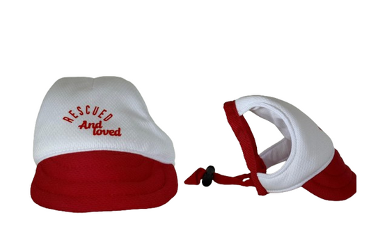 rescued-and-love-white-and-red-hat-dog