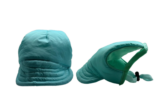 teal-hat-dog